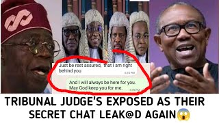 TRIBUNAL COURT UPDATE ANOTHER SECRET EXPOSEED AGAIN ON TRIBUNAL COURT JUDGEMENT [upl. by Auqenaj]