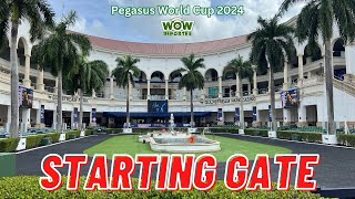 Pegasus World Cup 2024  Análisis EN VIVO [upl. by Nilhsa185]