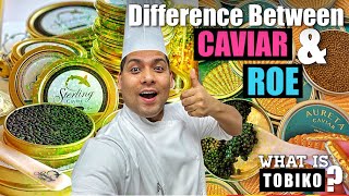 Whats the Difference between Caviar amp Roe  Tobiko kisi kehte hai [upl. by Neirad127]