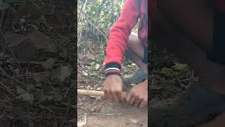 Bandhne ka Sahi tarika bushcraft farming outdoorsurvival [upl. by Starr70]