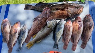 Santa Cruz rockfish and lingcod offshore fishing [upl. by Ehtyde]