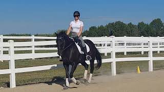 September FEI Youth Clinic application Training Level Test 1 Margot and Atlas [upl. by Aihsened]