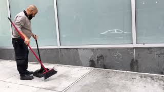 Using a dustpan and brush to get rid of Spotted Lanternflies at VIA57 [upl. by Saba]