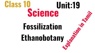 class10Unit19process of fossilization Ethanobotany [upl. by Vallery]