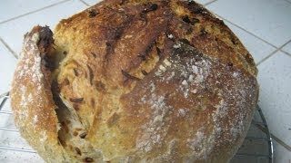 No Knead Bread  from Shaping to Oven [upl. by Blondell]