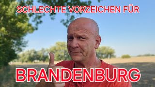 GRÜNES JAMMERTAL UND HOFFNUNG IN BRANDENBURG 👍 [upl. by Enegue67]