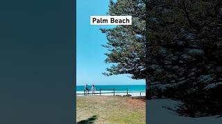 Palm Beach Sydney Australia beach sydneyaustralia [upl. by Ferrigno]