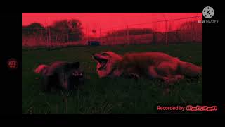 SaveAFox YTP Dixie and Muttias Hallucinate [upl. by Kevan332]