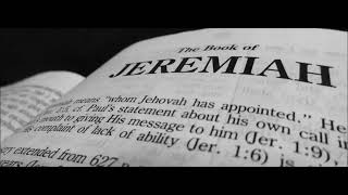 Overview of the Book of Jeremiah Chapter 2 [upl. by Nilak]