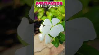 What is the Aestivation of this flower myaimpratikshayadav biology neet [upl. by Eislel533]