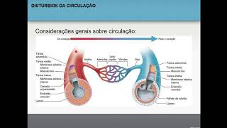 Distúrbios da circulação  Patologia Geral 114 [upl. by Annaul814]