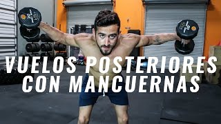 Cómo hacer Vuelos Posteriores con Mancuerna Inclinado  Ejercicio para Hombro  Deltoides Posterior [upl. by Ahseinar]