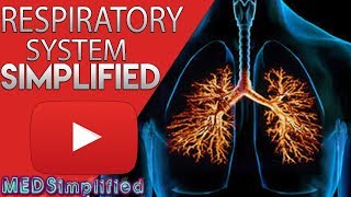 Respiratory System Made Easy [upl. by Heck149]