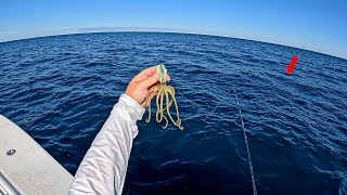 I Dropped THIS Bait 20 MILES Offshore and CHAOS ERUPTED [upl. by Valerle378]