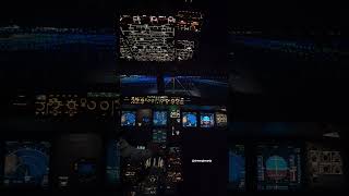 Flying the A320 FFS Simulator Adrenaline amp Precision Without Leaving the Groundaviation airplane [upl. by Roon]