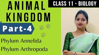 Animal Kingdom class 11 Biology  Phylum Anneleda Phylum Arthopada  Part4 [upl. by Ardnekat]