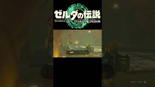 ゼルダの伝説 TotK【北の氷室】short [upl. by Whiffen]