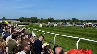 An Honest Day Punting  Fakenham Part 1 🐎 [upl. by Kutchins]