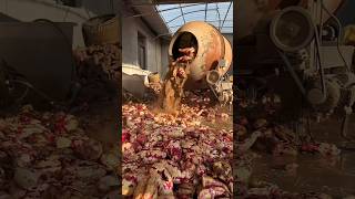 Good idea blender to clean sweet potatoes [upl. by Alioz]