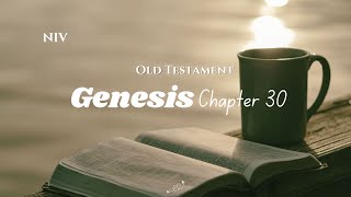 Everyday Bible Reading⎥Genesis 30⎥BGM This is my Fathers World amp Text⎥NIV [upl. by Gainer291]