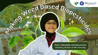 quotInterning at PPTK Gambung • Part 1 Making Biopesticides from Weed Plantsquot [upl. by Greysun69]