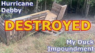 Hurricane Debby Destroyed My Duck Impoundment [upl. by Garretson]