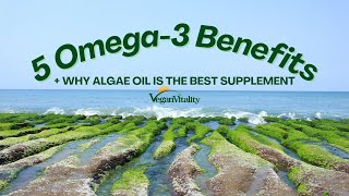 5 Benefits of Omega3 AND Why Algae Oil Is The Best Source [upl. by Russ955]