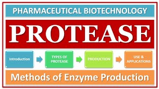 PROTEASE ENZYME  PART2  PRODUCTION OF MICROBIAL PROTEASE ENZYME  FERMENTATION  SCREENING [upl. by Ennaeirb293]