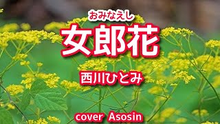 新曲『女郎花おみなえし』西川ひとみさん／cover 麻生新 [upl. by Arleta690]