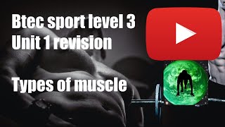 BTEC Sport Unit 1 Revision Types of Muscles QUICK FIRE REVISION [upl. by Drofla937]