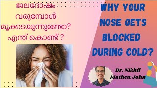 WHY YOUR NOSE GETS BLOCKED DURING A COLD ജലദോഷം വരുമ്പോൾ മൂക്ക് അടയുന്നത് എന്ത് കൊണ്ട് [upl. by Cassi684]