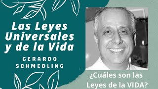 21  Cuáles son Las 14 principales Leyes de la VIDA  Gerardo Schmedling [upl. by Nossaj]