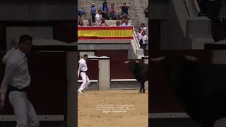 LOS MEJORES SALTOS A TOROS EN LAS VENTAS tricks madrid sports [upl. by Anihsat]