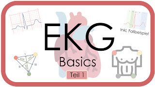 EKG Basics  Step by Step  Grundlagen Einthoven Frequenz Lagetyp PWelle QRS EKGKurs [upl. by Baynebridge]