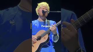 Ed Sheeran singing Penguins from the film Yesterday [upl. by Nerin]