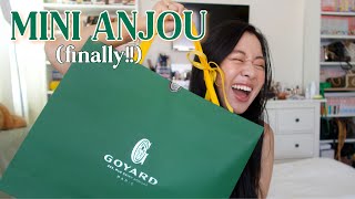 UNBOXING  GOYARD MINI ANJOU ❤️💛💚 Includes Current Price amp Close Ups [upl. by Anoiuq172]