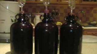 How to Make Wine from Grapes at Home [upl. by Cheney558]