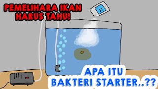 Apa itu Bakteri Starter dan Gunanya ANIMASI [upl. by Christabelle]