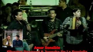 Amor sensible  Silvestre Dangond amp Juancho De La Espriella [upl. by Eelnodnarb]