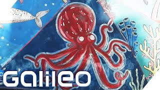 Die erste Oktopus Aquazucht der Welt Paradies für eine aussterbende Spezies  Galileo  ProSieben [upl. by Jazmin]