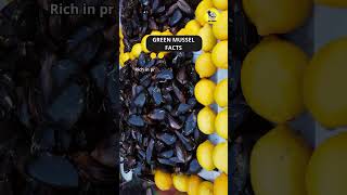 Green Mussel Facts shorts greenmussel factsvideo [upl. by Tegdirb]