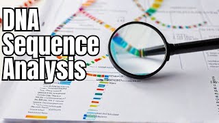 Lecture 07 DNA Sequences Analysis [upl. by Gris6]