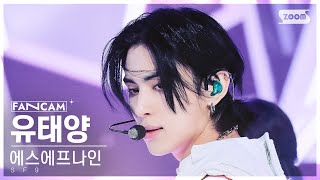 안방1열 직캠4K 에스에프나인 유태양 비보라 SF9 YOO TAE YANG BIBORA FanCam SBS Inkigayo 240114 [upl. by Rol]