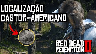 Red Dead Redemption 2 Descubra Duas Incríveis Localizações de Castores [upl. by Ailisec]