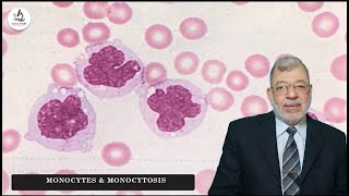 Episode 3 Monocytes amp Monocytosis [upl. by Atla475]