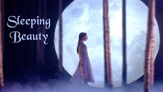 14th Century Clip from Sleeping Beauty [upl. by Ainesy]