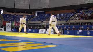 Kodokan Goshinjutsu Japan Judo World Championships 2014 [upl. by Butte880]