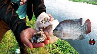 Carnada para Mojarras  Como Pescar Tilapias con Línea De Mano [upl. by Atkins]