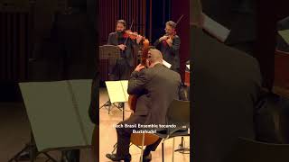 Viola da gamba só toca música lenta Conheça a Bach Society Brasil bachconcerto baroque barroco [upl. by Ahsenid916]