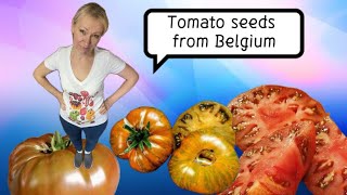 TOMATO seeds HAUL from Belgium Vertiloom [upl. by Pyne719]